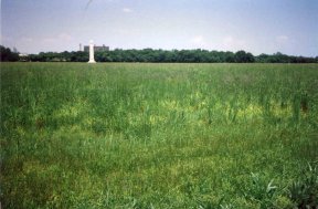Chalmette Battlefield